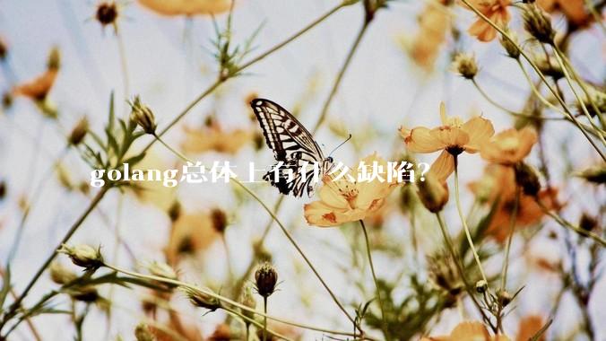 golang总体上有什么缺陷？