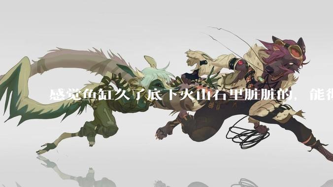 感觉鱼缸久了底下火山石里脏脏的，能彻底换水清理一遍不？
