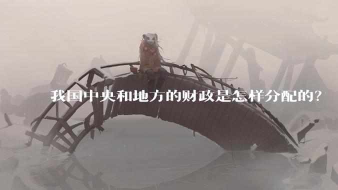 我国中央和地方的财政是怎样分配的？
