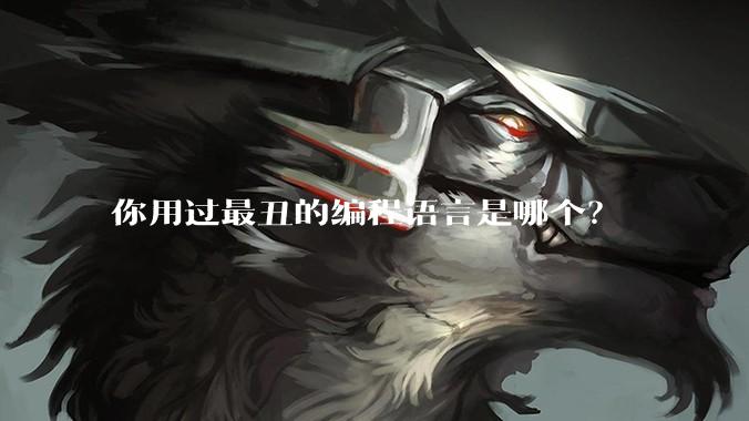 你用过最丑的编程语言是哪个？